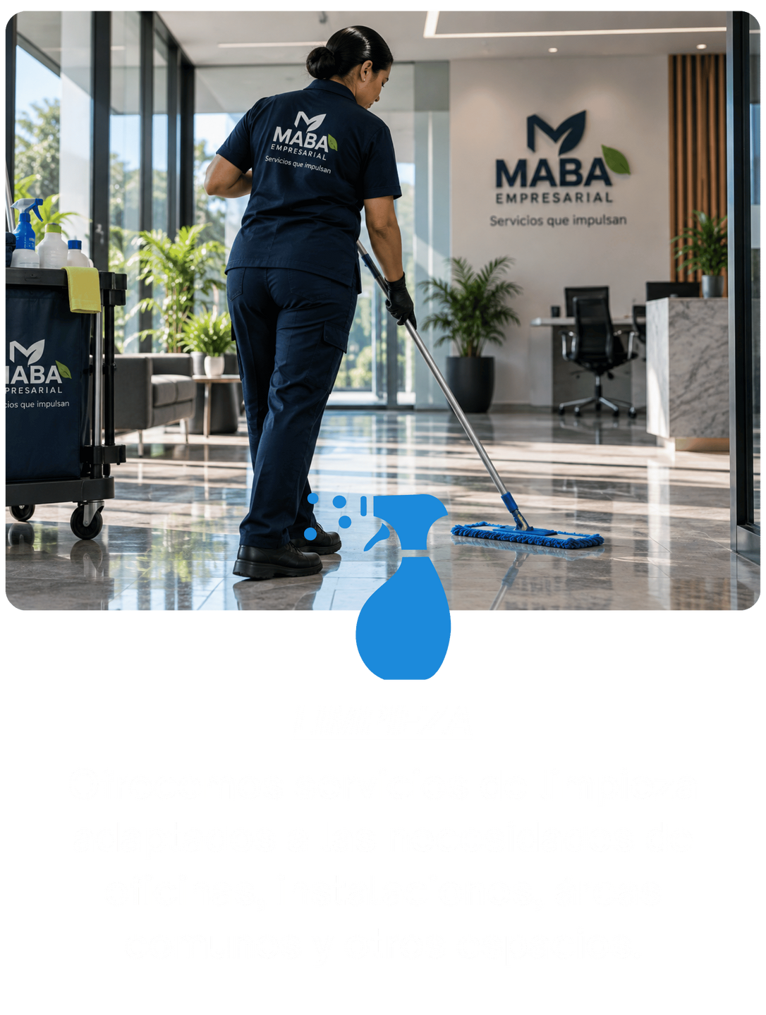 limpieza